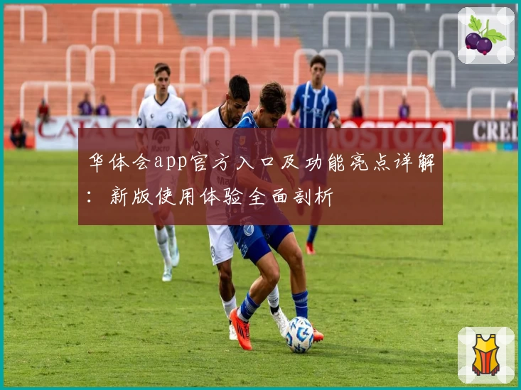 华体会app官方入口及功能亮点详解：新版使用体验全面剖析